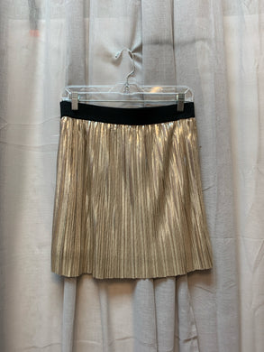 SIZE L FOREVER 21 Skirt