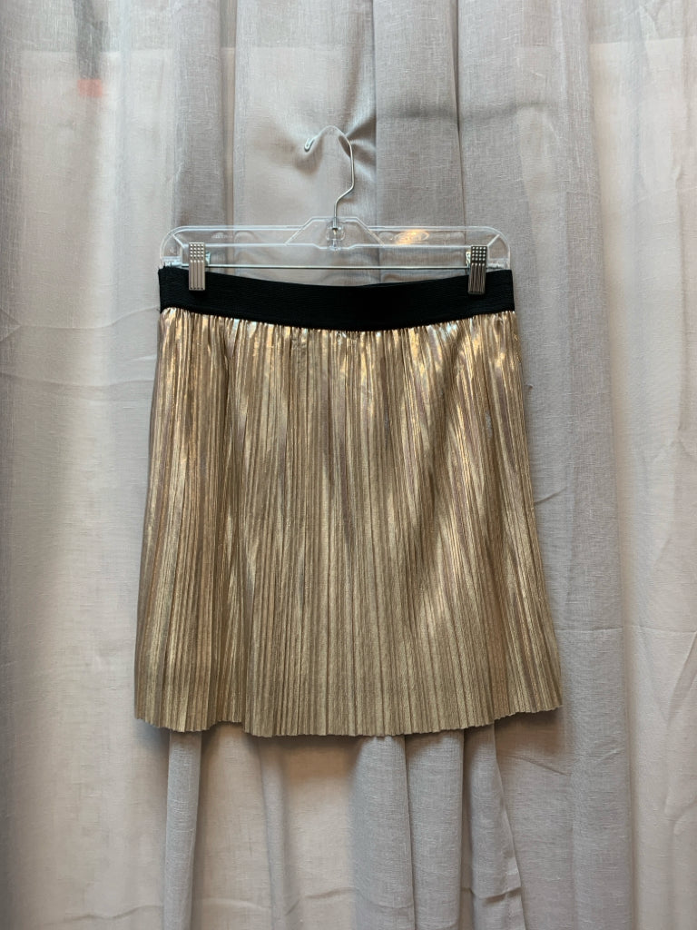 SIZE L FOREVER 21 Skirt