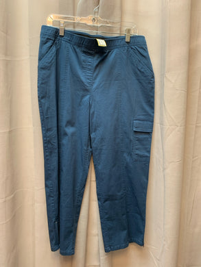 SIZE L CHICO'S Pants