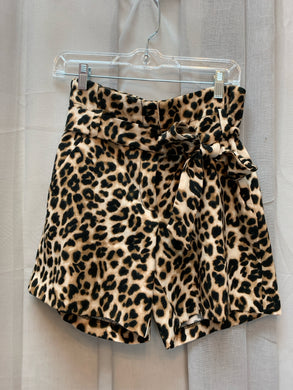 SIZE 2 New York & Co Shorts