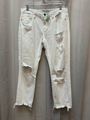 SIZE 6 HIDDEN Jeans