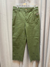 SIZE 8 TALBOTS Olive Pants