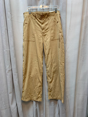 SIZE 12 American Eagle Pants